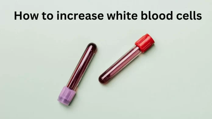 how to increase white blood cells