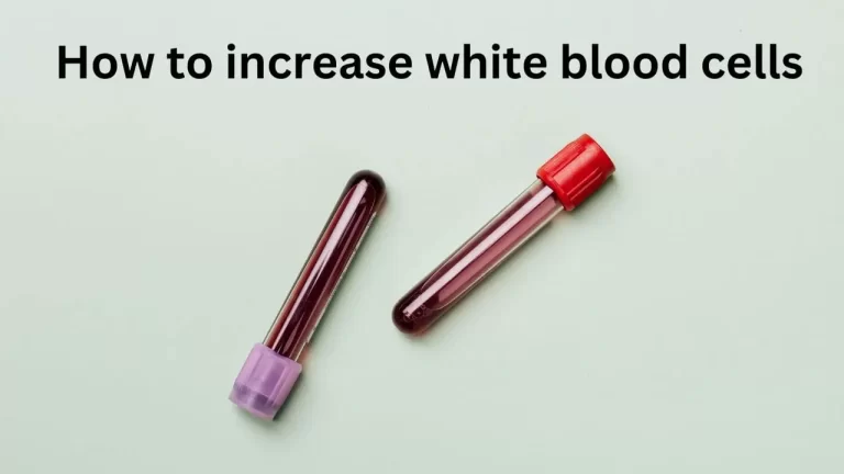 How to Increase Your White Blood Cell Count
